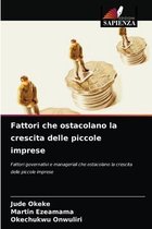 Fattori che ostacolano la crescita delle piccole imprese