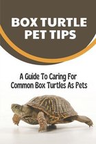 Box Turtle Pet Tips: A Guide To Caring For Common Box Turtles As Pets