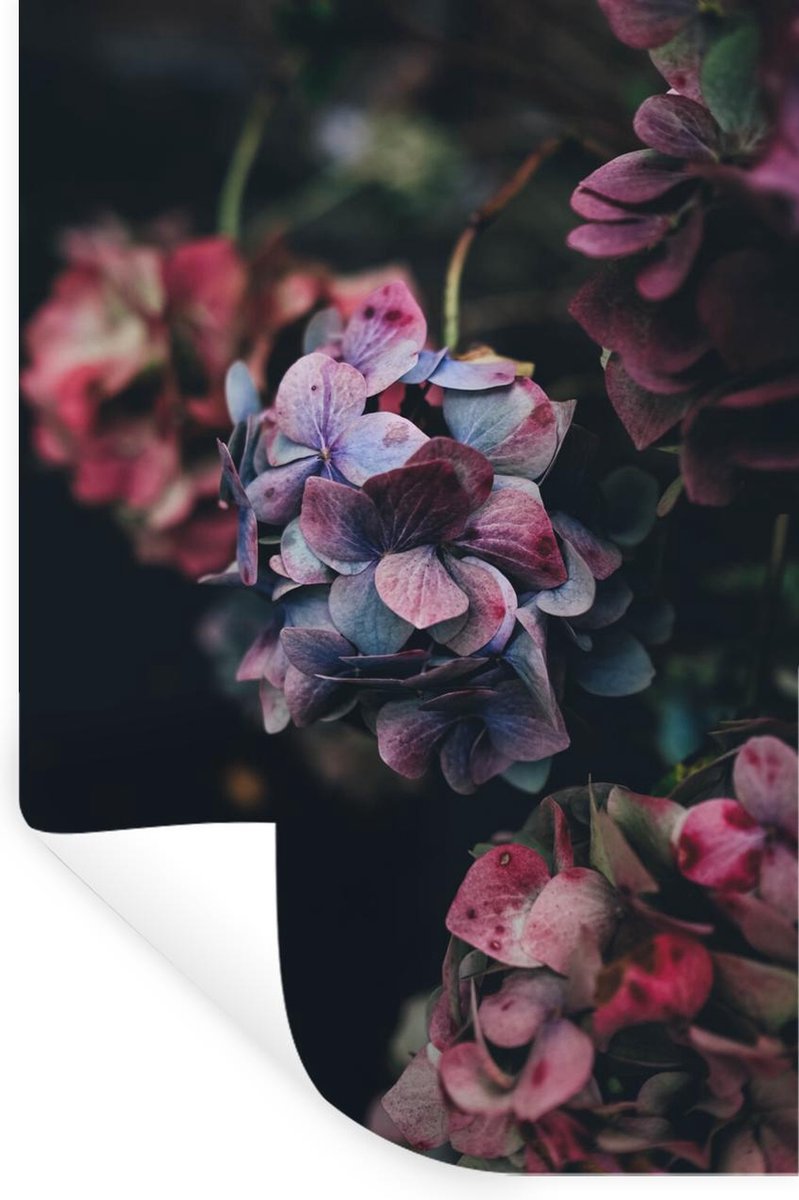 Muurstickers - Sticker Folie - Bloemen - Licht - Macro - 20x30 cm - Plakfolie - Muursticke