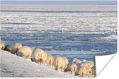 Schapen op de dijk bij de Waddenzee Poster 90x60 cm - Foto print op Poster (wanddecoratie woonkamer / slaapkamer) / Zeeën en meren Poster / Zee en Strand