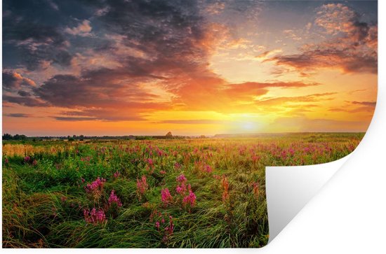 Stickers Stickers muraux - Fleurs - Coucher de soleil - Printemps - 30x20 cm - Feuille adhésive