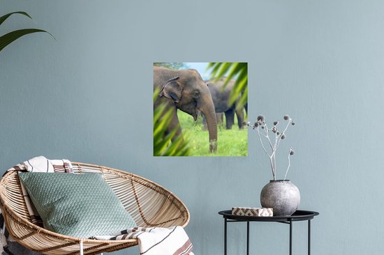 Stickers muraux - Film autocollant - Éléphant - Palmier - Animaux - 30x30 cm - Film adhésif - Stickers muraux chambre enfant - Papier peint autocollant - Papier peint autocollant - Film autocollant