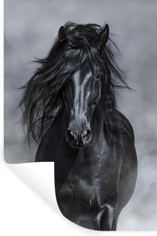 Stickers Stickers muraux - Cheval - Grijs - Zwart - 20x30 cm - Film adhésif