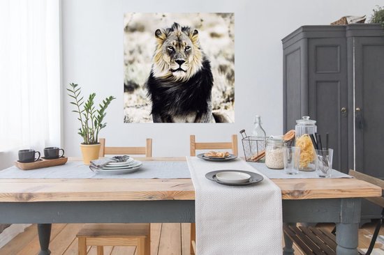 Affiche Animaux sauvages - Lion - Zwart - 100x100 cm XXL