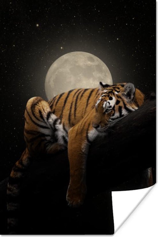Affiche Tigre - Lune - Etoiles - 120x180 cm XXL