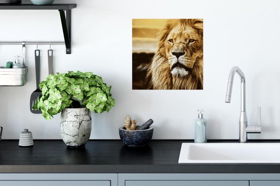 Affiche Lions - Profil - Coucher de soleil - 30x30 cm