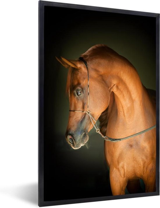 Cadre photo avec affiche - Cheval - Marron - Zwart - 60x90 cm - Cadre pour affiche