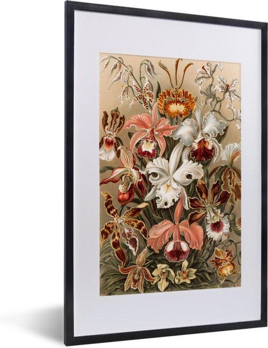 Fotolijst incl. Poster - Orchidee - Ernst Haeckel - 40x60 cm - Posterlijst