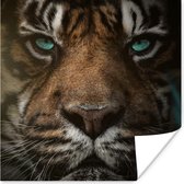 Affiche Jungle - Tigre - Animaux sauvages - 50x50 cm