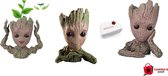 3 uniek Baby Groot Planten Bakje -Uniek cadeau voor haar-voor hem