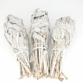 Witte Salie Smudge Stick (Californian white sage), per 3 stuks