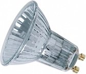 OSRAM Halopar Cool Beam GZ10 Spot Halogeenlamp 50W Warm Wit 3000K | 300lm | 2000h | D | Dimbaar