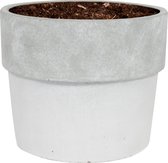 WL Plants - Bloempot Voor Binnen - Witte Betonnen Bloempot - Luxe Bloempotten voor Binnen - Bloempotten voor Buiten - Bloembak & Plantenpot - Hoogte 12,5 cm - Keramisch met Hoogwaa