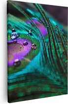 Artaza Canvas Schilderij Kleurrijke Pauw Veer Met Waterdruppels  - 80x100 - Groot - Foto Op Canvas - Canvas Print