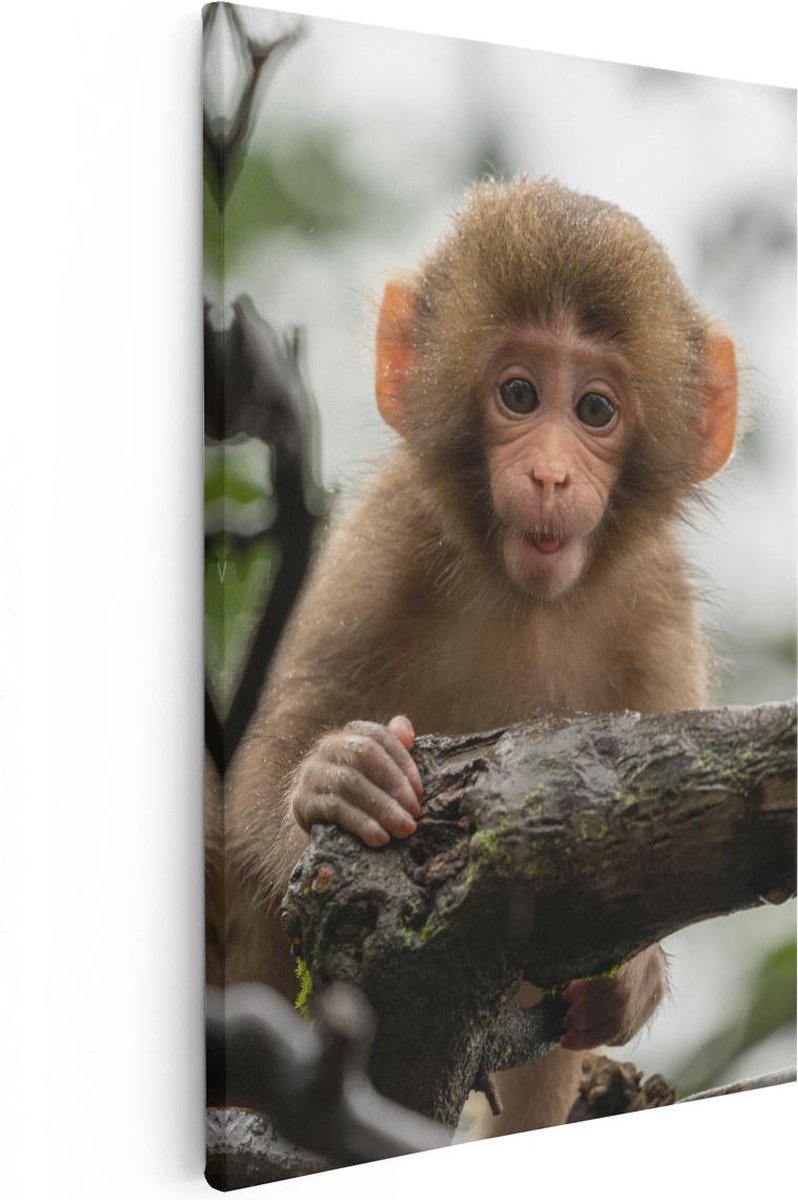 Artaza Canvas Schilderij Klein Baby Aapje Op Een Tak - 40x60 - Foto Op Canvas - Canvas Print