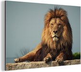 Lion au repos sur un rocher Aluminium 120x80 cm - Tirage photo sur aluminium (décoration murale en métal)