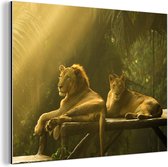 Lions dans la jungle Aluminium 180x120 cm - Tirage photo sur Aluminium (décoration murale métal) XXL / Groot format!