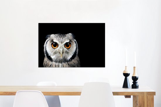 Gros plan chouette Aluminium 90x60 cm - Tirage photo sur aluminium (décoration murale métal)