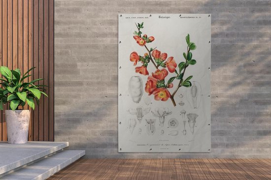 Décoration murale Plante - Vintage - Botanica - 120x180 cm - Affiche jardin - Toile jardin