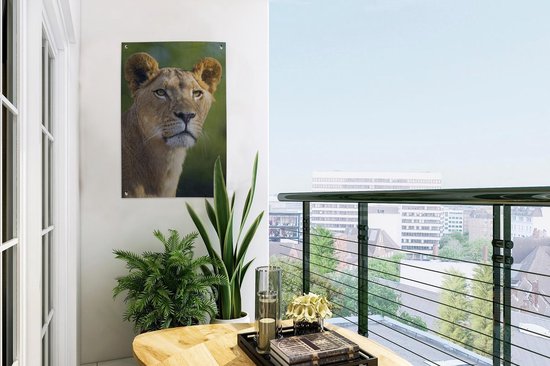 Poster Jardin jeune lionne 40x60 cm - petit - Toile de jardin / Toile d'extérieur / Peintures d'extérieur (décoration de jardin)