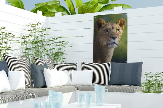 Poster Jardin jeune lionne 40x60 cm - petit - Toile de jardin / Toile d'extérieur / Peintures d'extérieur (décoration de jardin)