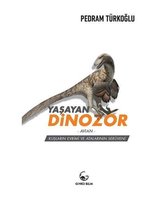 Yaşayan Dinozor   Avian  Kuşların Evrimi ve Atalarının
