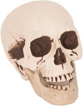 Halloween - Horror decoratie schedel/doodshoofd 21 cm - Halloween kerkhof decoratie en versiering