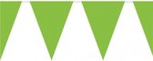vlaggenlijn groen 10 meter