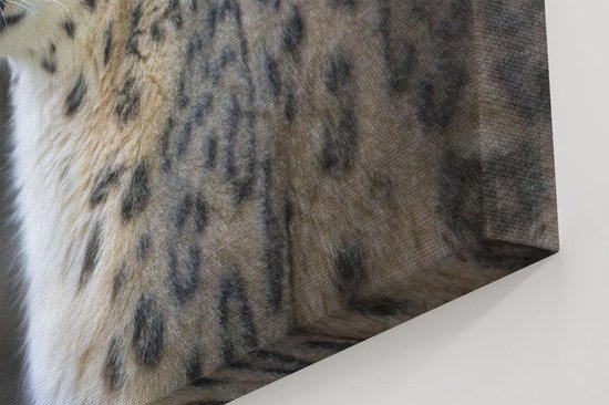 Artaza Peinture sur Toile Léopard aux Yeux Bleus - 100x80 - Groot - Photo sur Toile - Impression sur Toile