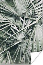 Affiche Tropical - Feuille de Palmier - Vert - 40x60 cm