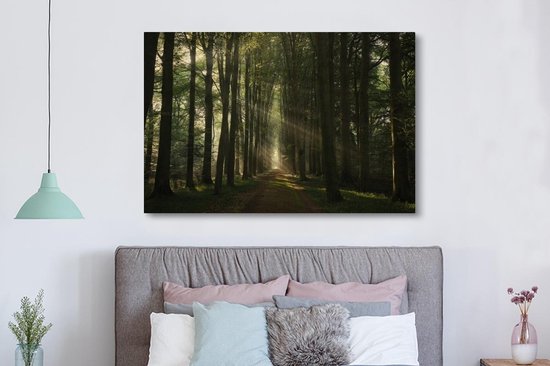 Canvas schilderij 150x100 cm - Wanddecoratie Bospad - Zonnestralen - Horizon - Bomen - Bos - Muurdecoratie woonkamer - Slaapkamer decoratie - Kamer accessoires - Schilderijen op canvas