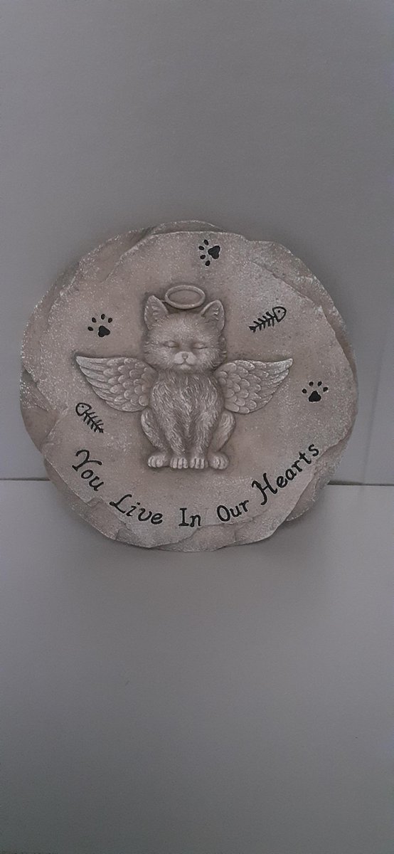 Relaxdays gedenk steen voor je kat : you live in our harts <3 ongeveer 25 cm doorsnee