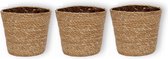 Set van 3 WLPlants Hoogwaardige Plantenmanden Maki Ø12 - Beige - Hoogte ongeveer 12 cm - Luxe Bloempot gemaakt van riet - Geschikt als plantenpot - Binnen te gebruiken