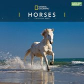 Horses National Geographic Kalender 2022