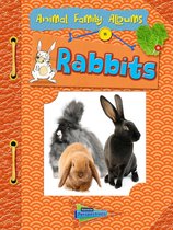 Animal Family Albums - Rabbits
