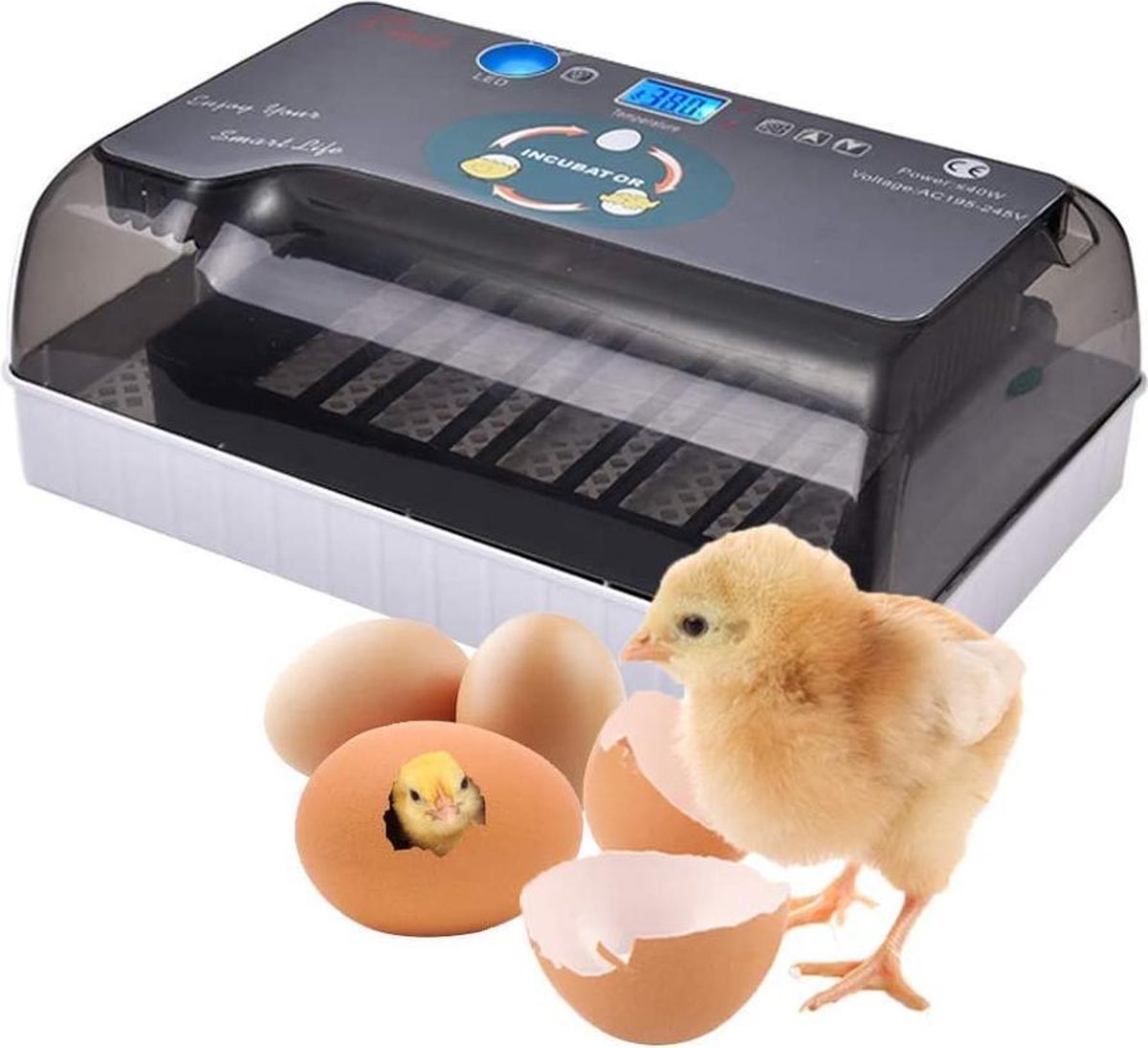 Automatische Broedmachine Voor Eieren Met Warmteplaat Incubator met Luxe Hygrometer - Tot 60 Eieren - Merkloos