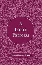 A Little Princess (Illustrated)