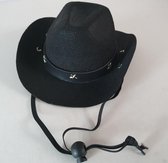 Chapeau de cowboy pour chien