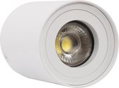 Plafondapplicatie LED Ledkia Wit 50 W (Ø80x110 mm) (Ø 80 x 110 mm)