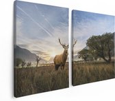 Artaza Canvas Schilderij Tweeluik Hert In Het Landschap  - 120x80 - Foto Op Canvas - Canvas Print