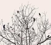 Vliesbehang Vogeltjes in Boom XXL - 368 x 254 cm - Zwart/Wit