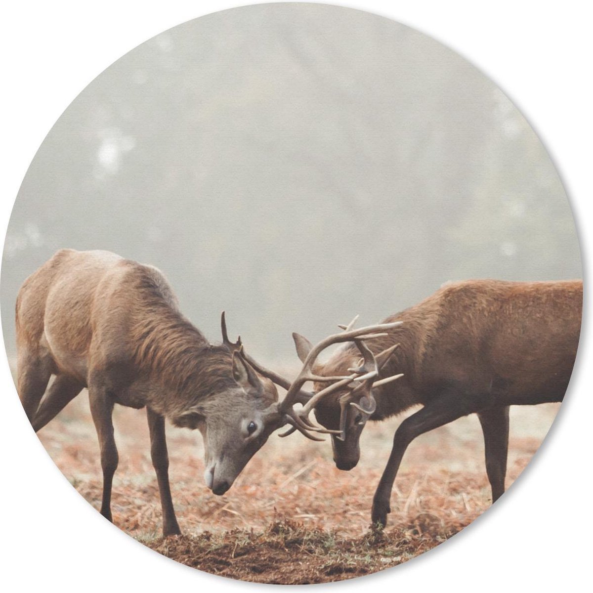 Muismat rond 20x20 cm - Mousepad Hert - Gewei - Bos - Gras - Ronde muismatten