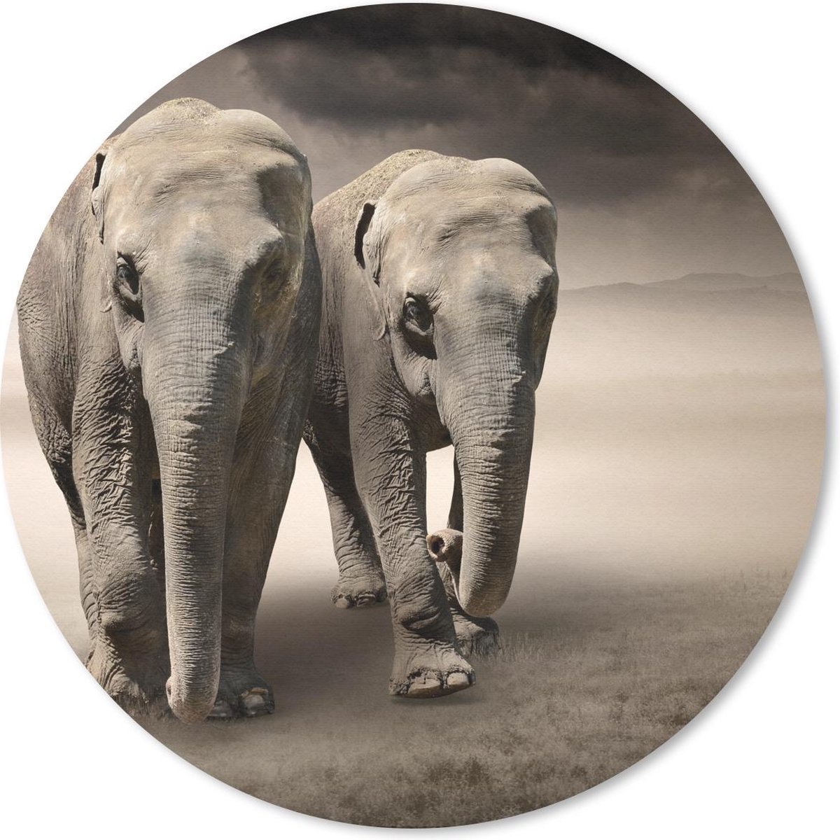 Muismat rond 30x30 cm - Mousepad Olifant - Koppel - Berg - Ronde muismatten