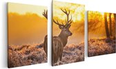 Artaza Canvas Schilderij Drieluik Hert In Bos Tijdens De Zonsopkomst - 120x60 - Foto Op Canvas - Canvas Print