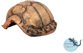 CeramicNature Cave Turtle - Taille: Petite