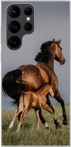 Geschikt voor Samsung Galaxy S22 Ultra hoesje - Dieren - Paarden - Veulen - Siliconen Telefoonhoesje