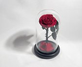 Echte roos in glazen stolp - Valentijns cadeau - Moederdag cadeautje - Liefde cadeau - Huwelijks geschenk - Longlife rozen - Geconserveerde roos -  2 tot 3 jaar houdbaar