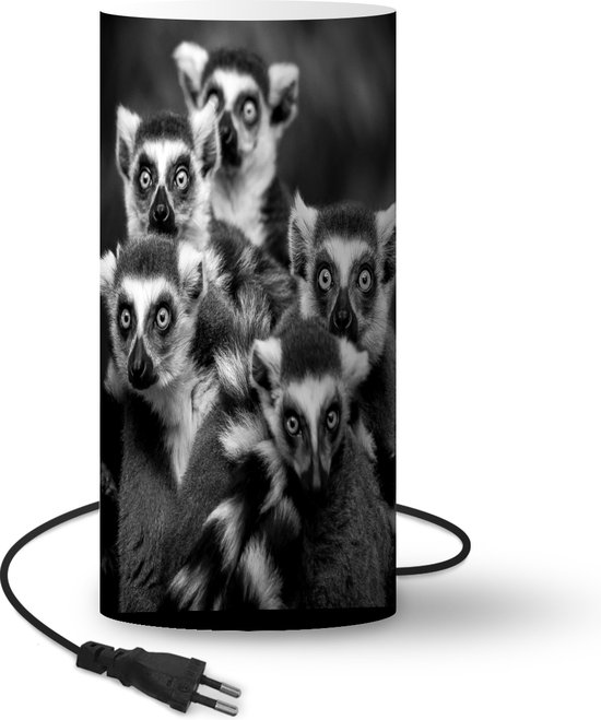 Lamp – Nachtlampje – Tafellamp slaapkamer – Groepje Ringstaartmaki’s kijkend in de camera – zwart wit – 54 cm hoog – Ø25 cm – Inclusief LED lamp