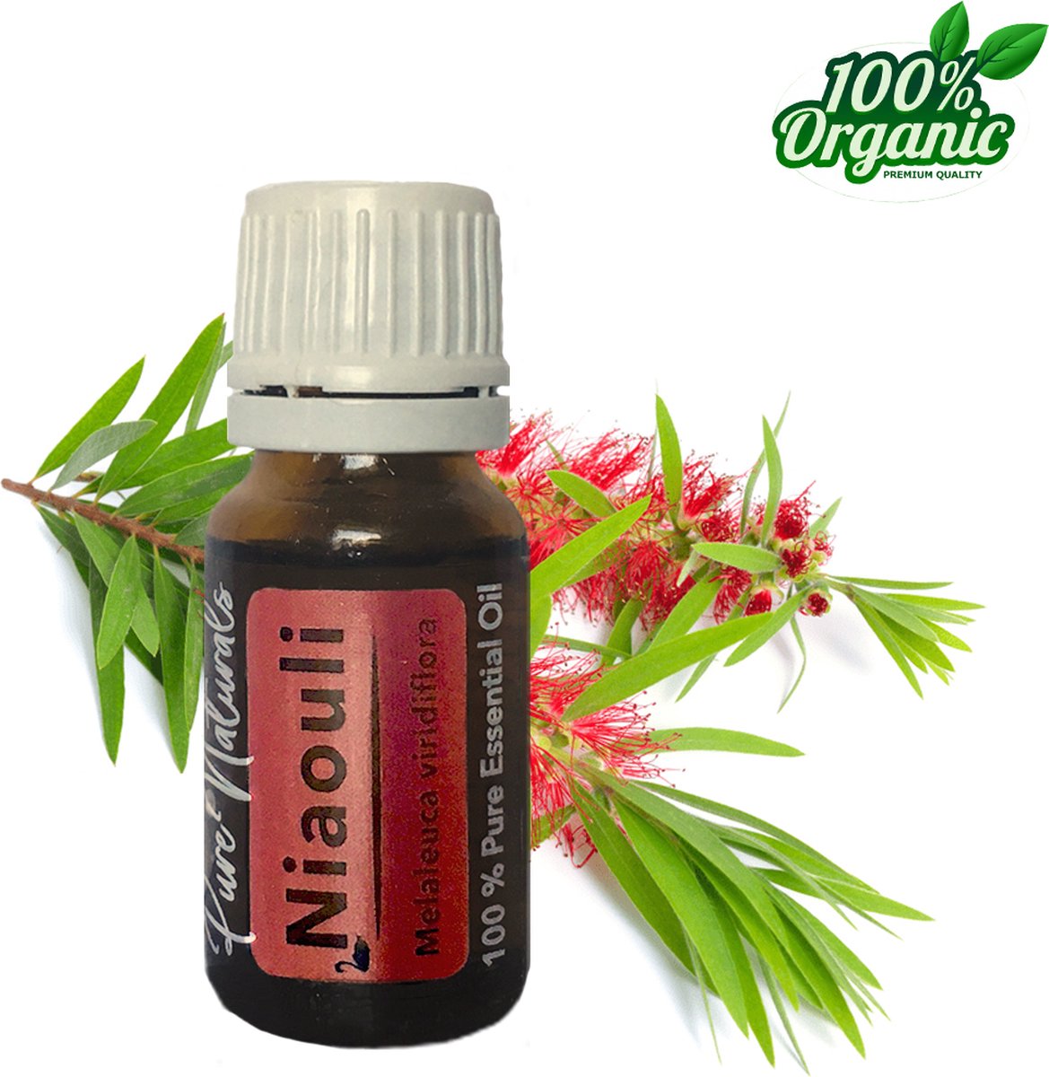 Goedkoopste Niaouli etherische Olie 10 ml | Niaouli Oil | 100 PUUR | Bio | Essentiële olie Aromatherapie | Olie diffuser | Geschikt voor inname | Pure Naturals