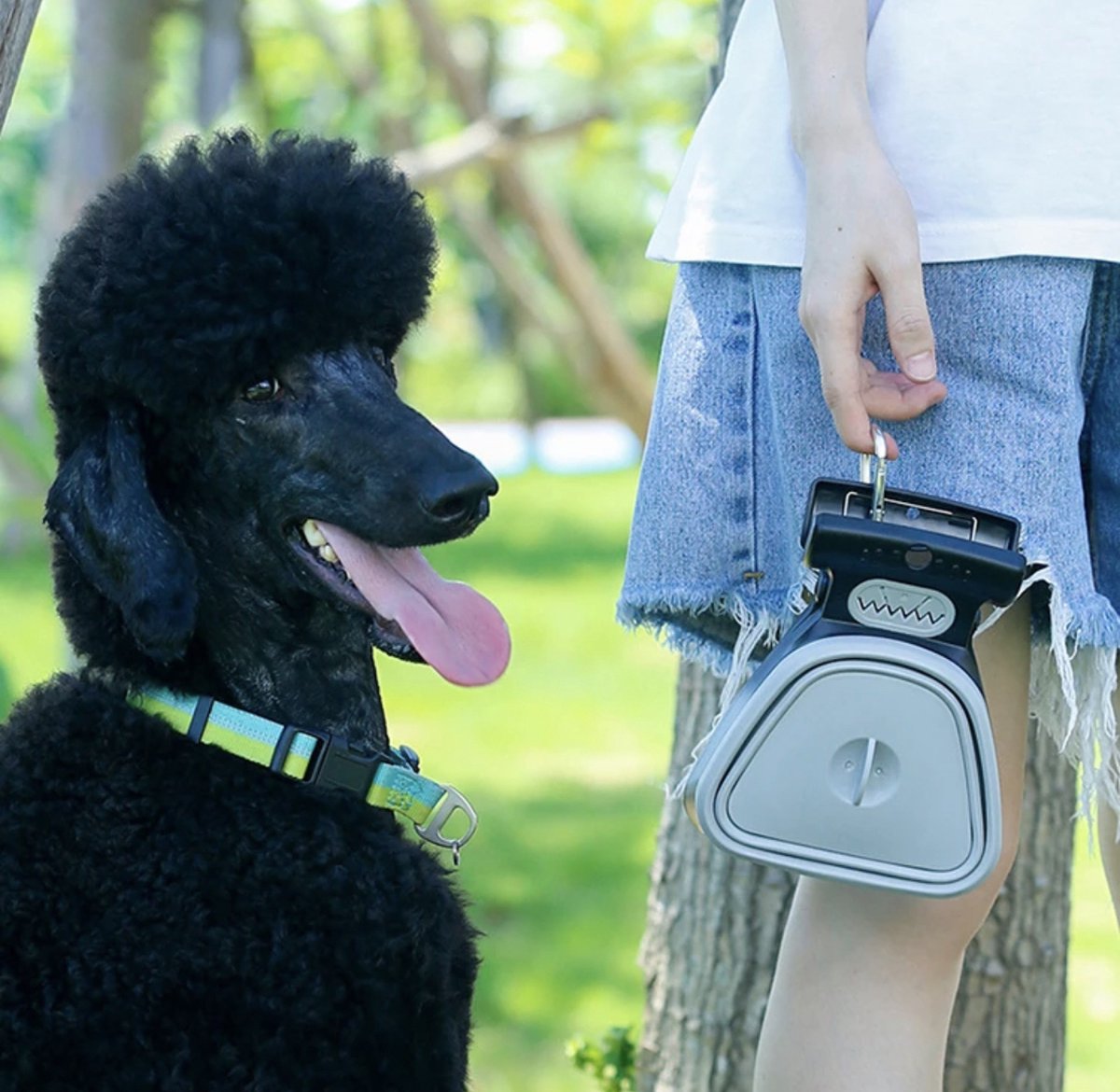 Poubelle à Déjections Canine Extérieure 2,6 Gal – Grise, Forme Cylindrique